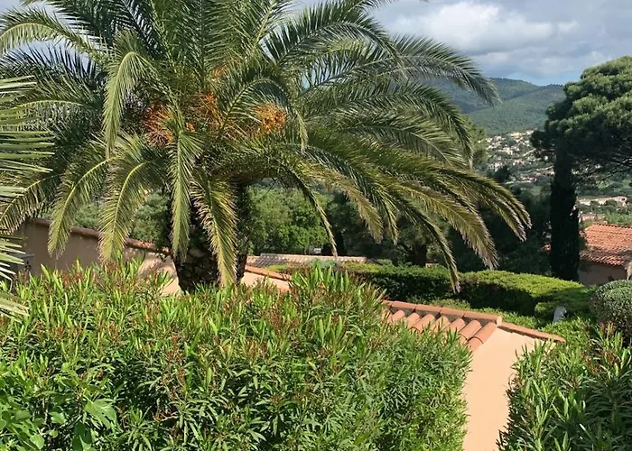 Bellevue Maxime Un Ecrin De Verdure Au Coeur Du Semaphore Piscine Xxl * Sainte-Maxime