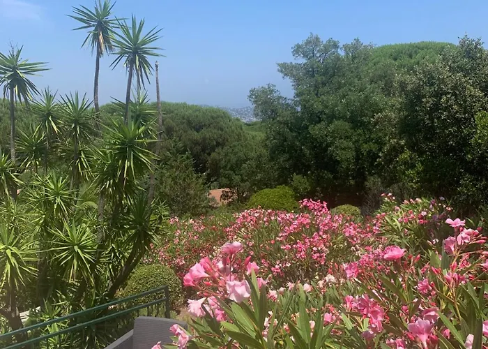 Tatil Evi Bellevue Maxime Un Ecrin De Verdure Au Coeur Du Semaphore Piscine Xxl