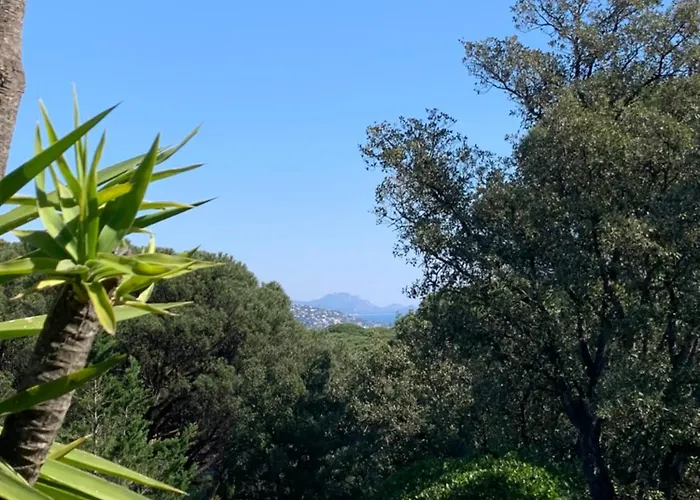 Tatil Evi Bellevue Maxime Un Ecrin De Verdure Au Coeur Du Semaphore Piscine Xxl