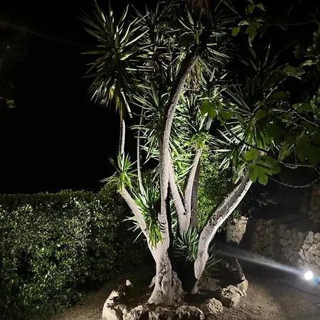 Bellevue Maxime Un Ecrin De Verdure Au Coeur Du Semaphore Piscine Xxl Holiday home Sainte-Maxime
