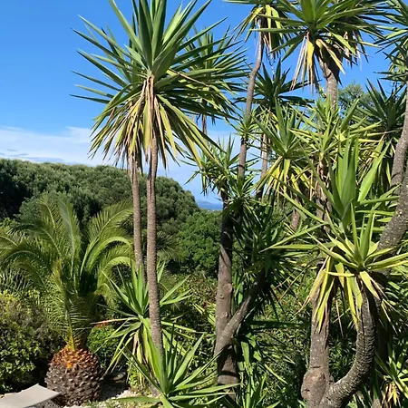 Bellevue Maxime Un Ecrin De Verdure Au Coeur Du Semaphore Piscine Xxl סן-מקסים