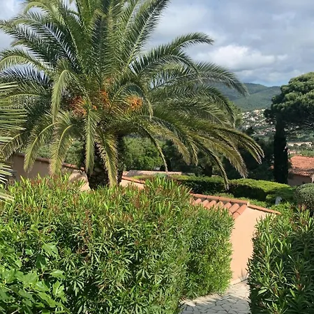 Bellevue Maxime Un Ecrin De Verdure Au Coeur Du Semaphore Piscine Xxl * Sainte-Maxime
