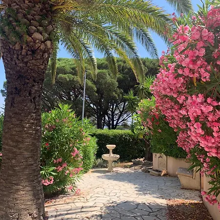 Bellevue Maxime Un Ecrin De Verdure Au Coeur Du Semaphore Piscine Xxl *