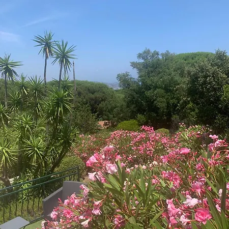 בית נופש Bellevue Maxime Un Ecrin De Verdure Au Coeur Du Semaphore Piscine Xxl