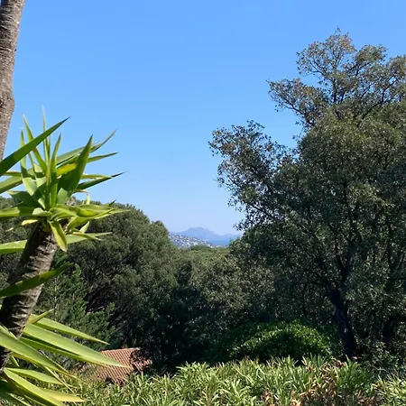 Hébergement de vacances Bellevue Maxime Un écrin De Verdure Au Cœur Du Sémaphore Piscine Xxl