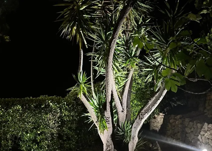 Bellevue Maxime Un Ecrin De Verdure Au Coeur Du Semaphore Piscine Xxl Ferienhaus Sainte-Maxime