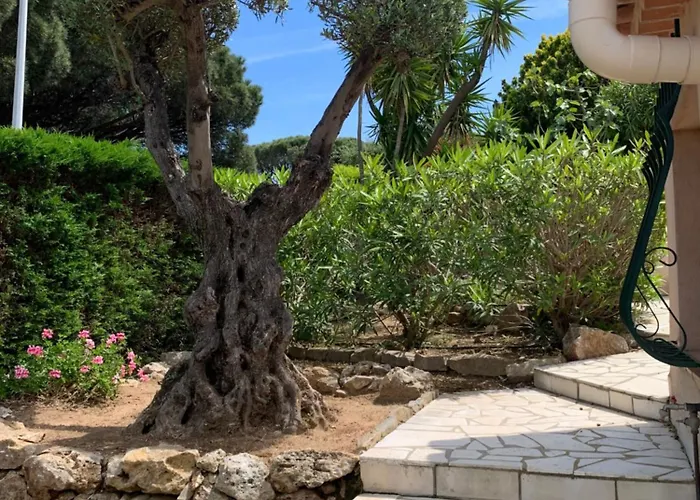 Bellevue Maxime Un Ecrin De Verdure Au Coeur Du Semaphore Piscine Xxl *