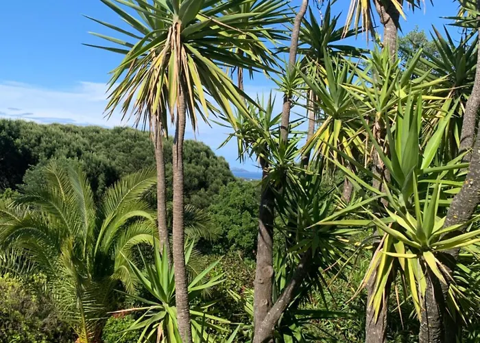 Bellevue Maxime Un Ecrin De Verdure Au Coeur Du Semaphore Piscine Xxl Sainte-Maxime
