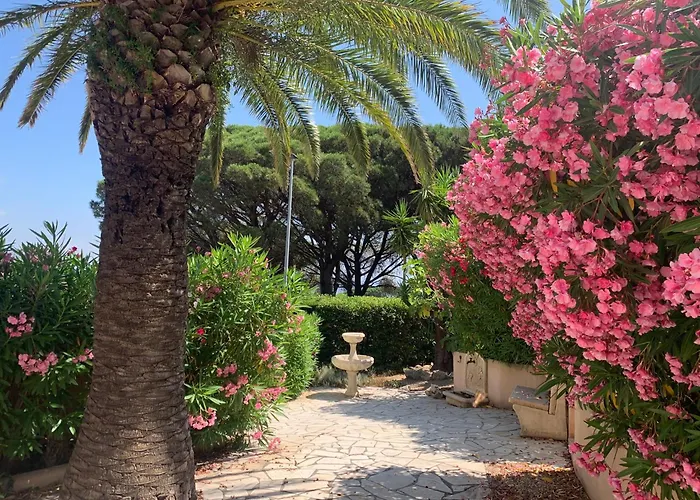 Bellevue Maxime Un Ecrin De Verdure Au Coeur Du Semaphore Piscine Xxl *