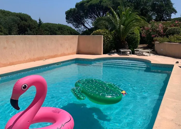 Bellevue Maxime Un Ecrin De Verdure Au Coeur Du Semaphore Piscine Xxl Sainte-Maxime